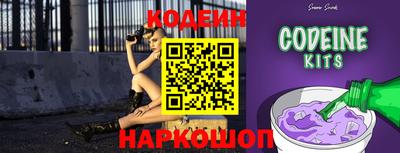 индика Ярославль