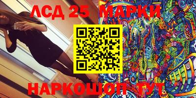 индика Ярославль