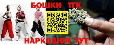 индика Ярославль