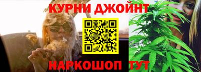 индика Ярославль