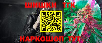 индика Ярославль
