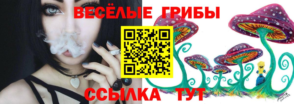 Псилоцибиновые грибы Psilocybe Богородицк