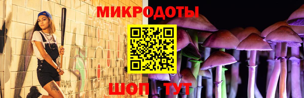 магазин продажи наркотиков  Псилоцибиновые грибы Psilocybe  Вход с VPN  Галлюциногенные грибы Magic Shrooms  Богородицк 